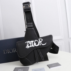 Christian Dior Saddle Bags